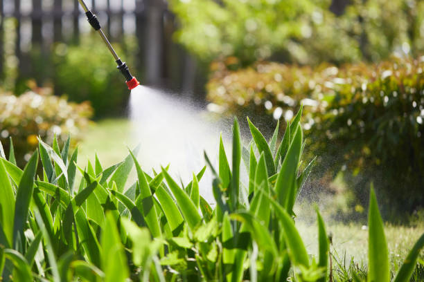 24/7 Emergency Termite Control experts in Kaanapali, HI